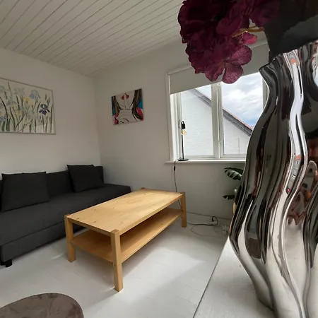 3 Bedroom With Garden And Parking 公寓